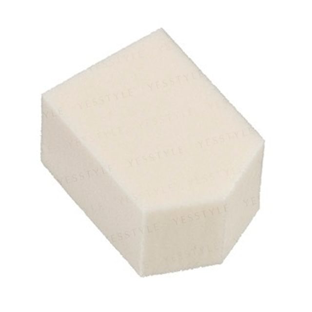 Pentagon Sponge
