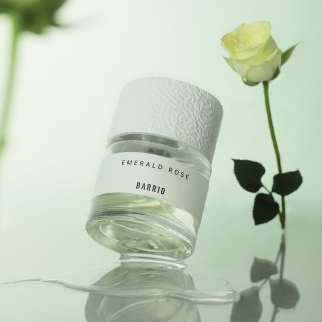 Dive Into Verde Parfume - 3 Scents