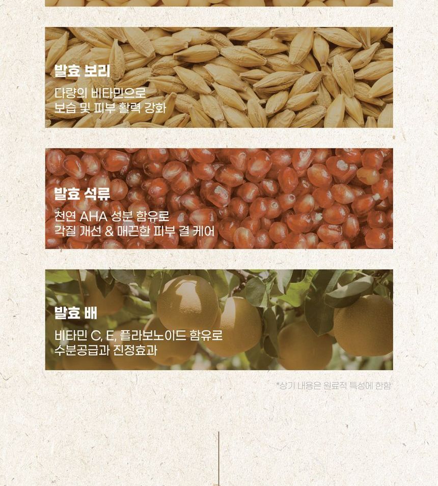 Bean Cleansing Oil Jumbo
