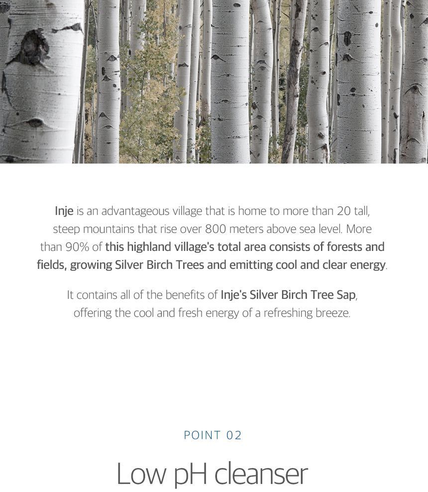 Birch Juice Moisturizing Cleanser