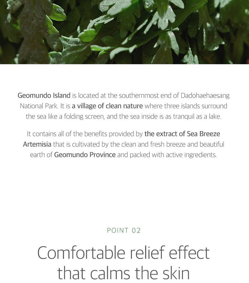 Mugwort Calming Mask