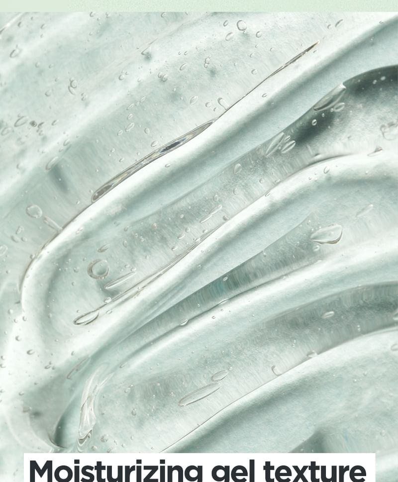 Aloe Soothing Gel Moisture Type