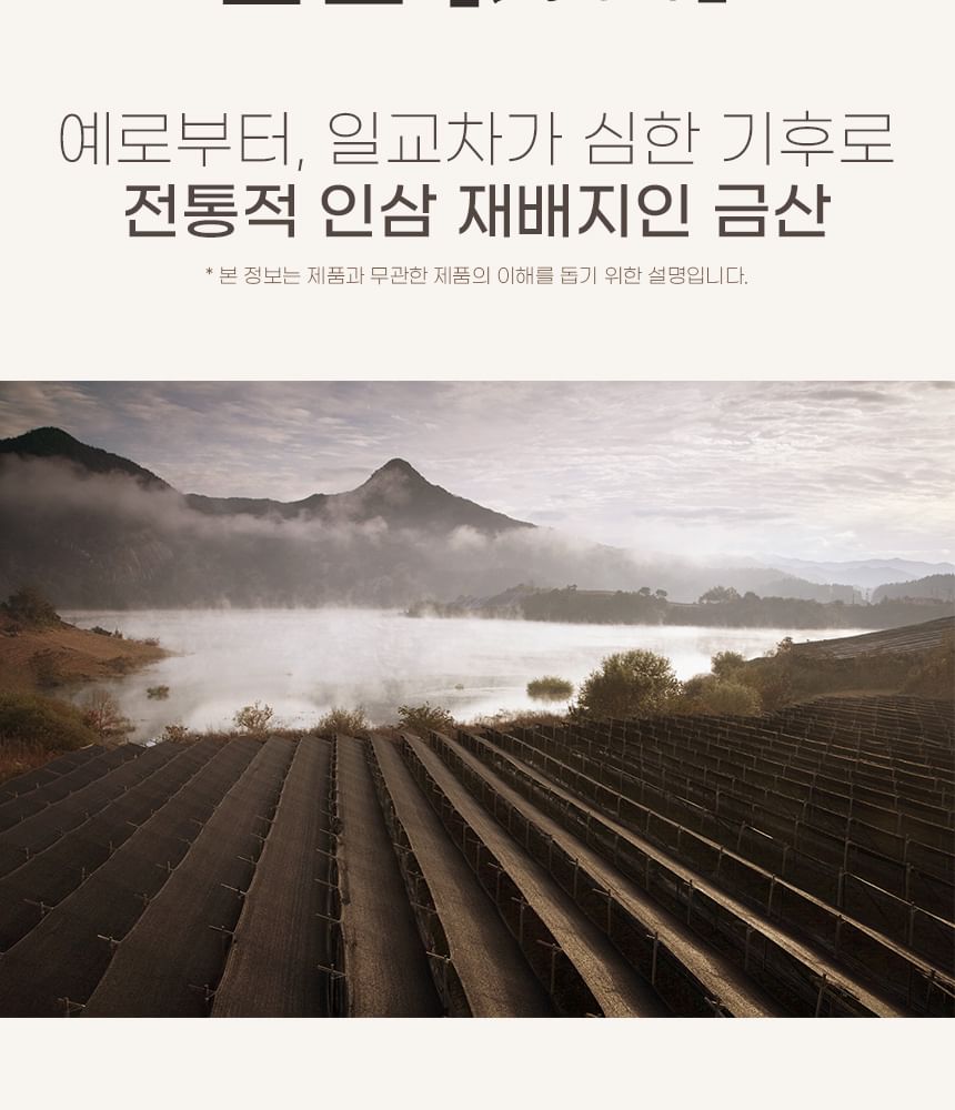 Korean Red Ginseng Extract Stick