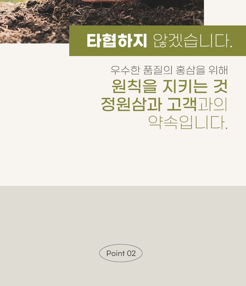 Korean Red Ginseng Extract Stick