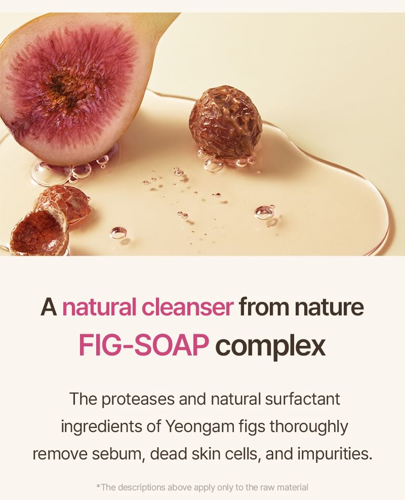 Fig Foam Cleanser