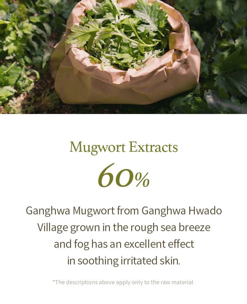 Mugwort Gel Cleanser Mini