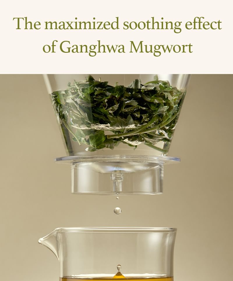 Mugwort Sheet Mask Set 2pcs Bundle Set