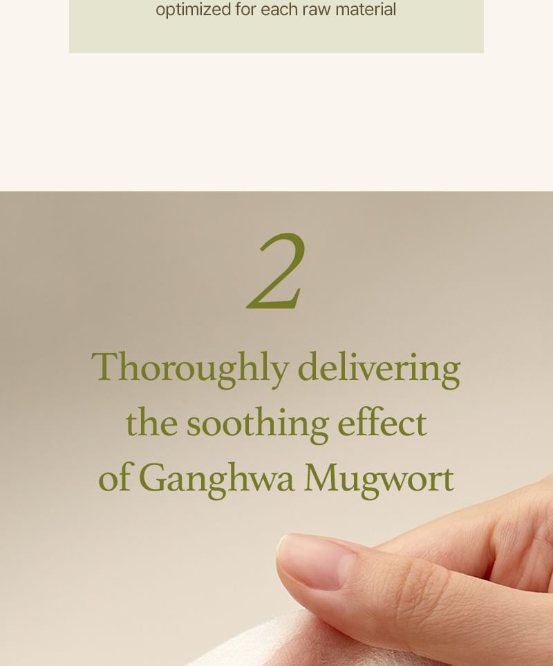 Mugwort Sheet Mask Set 2pcs Bundle Set