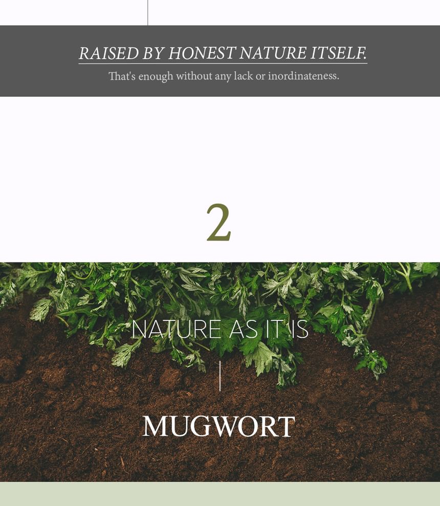 Mugwort Mask