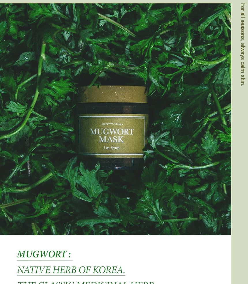 Mugwort Mask 2pcs Bundle Set