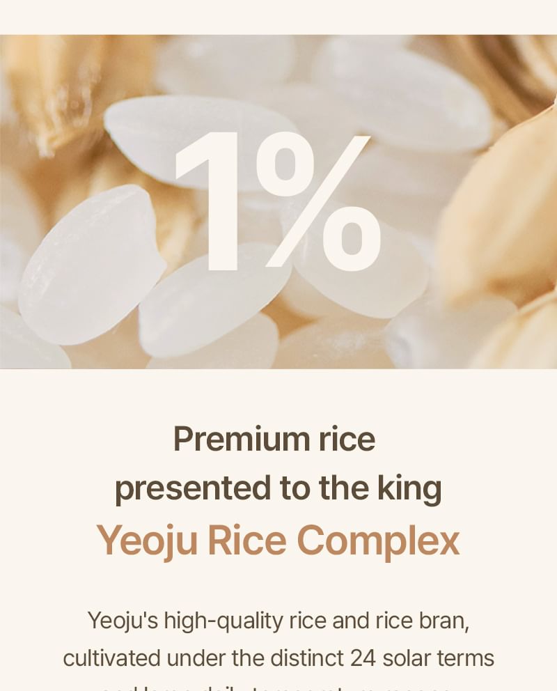 Rice Toner Pad