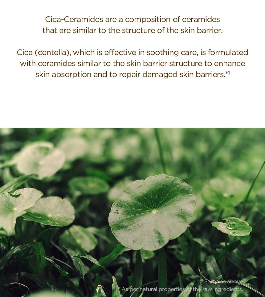 Madagascar Centella Probio-Cica Intensive Ampoule Jumbo
