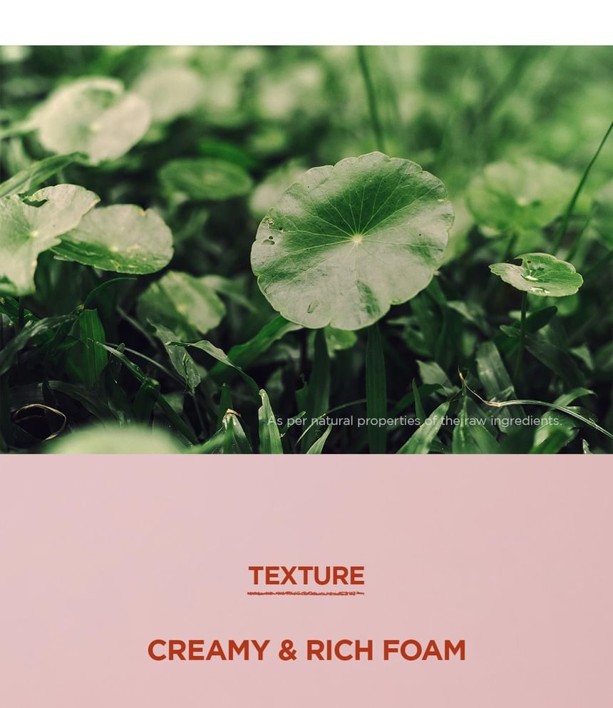 Madagascar Centella Poremizing Deep Cleansing Foam