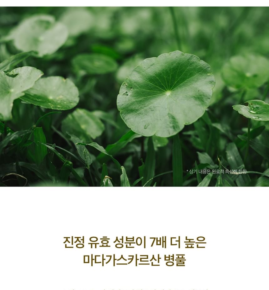 Madagascar Centella Ampoule Kit
