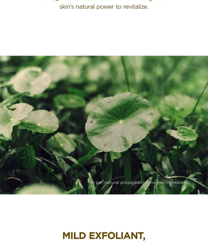 Madagascar Centella Toning Toner Jumbo