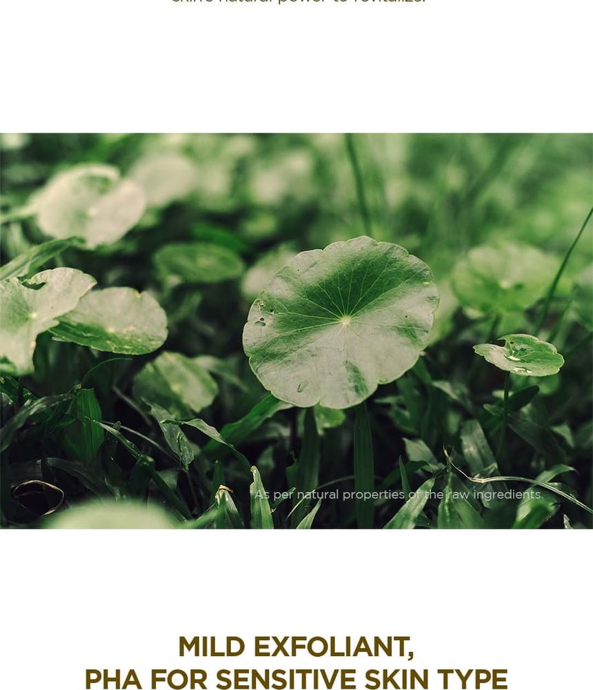 Madagascar Centella Toning Toner
