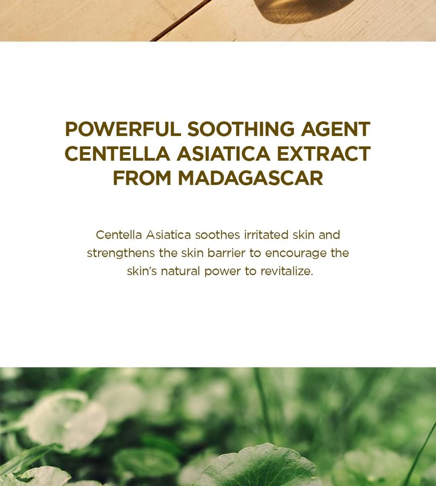 Madagascar Centella Soothing Cream