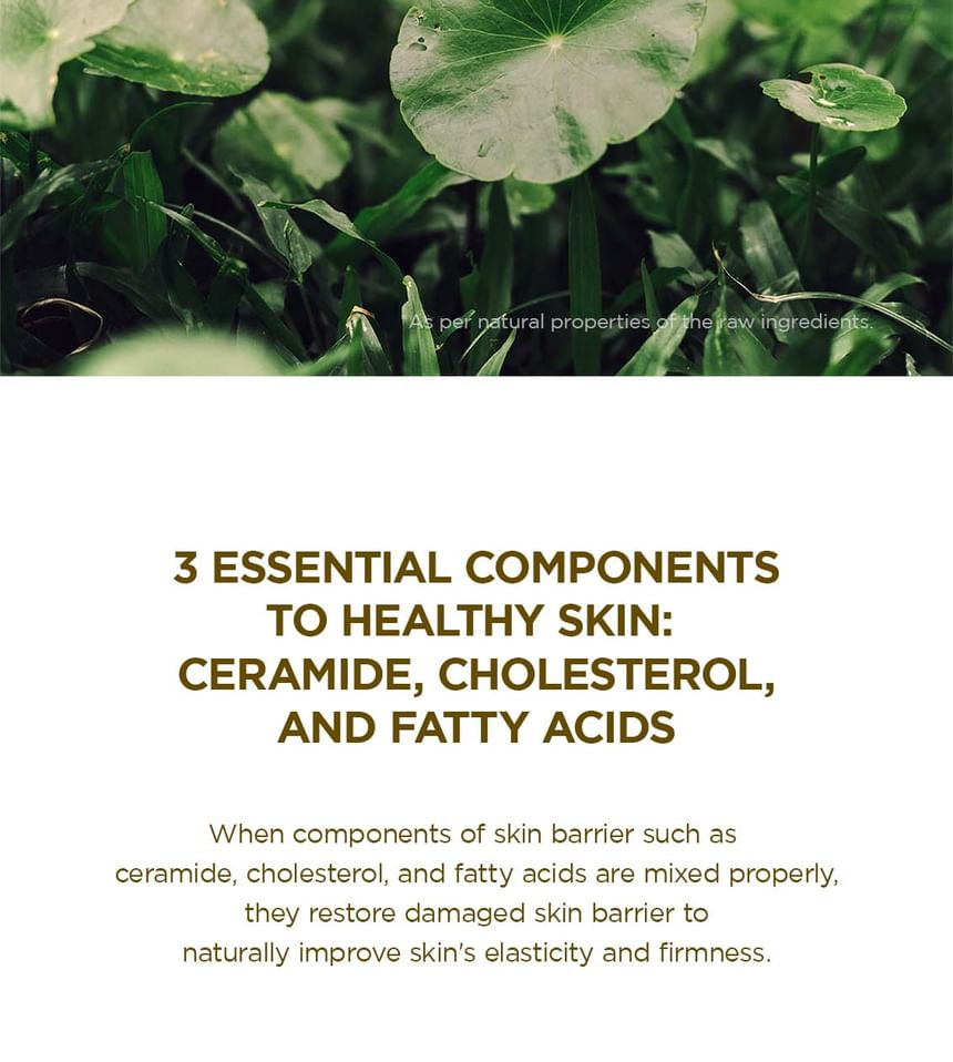 Madagascar Centella Soothing Cream 2pcs Bundle Set