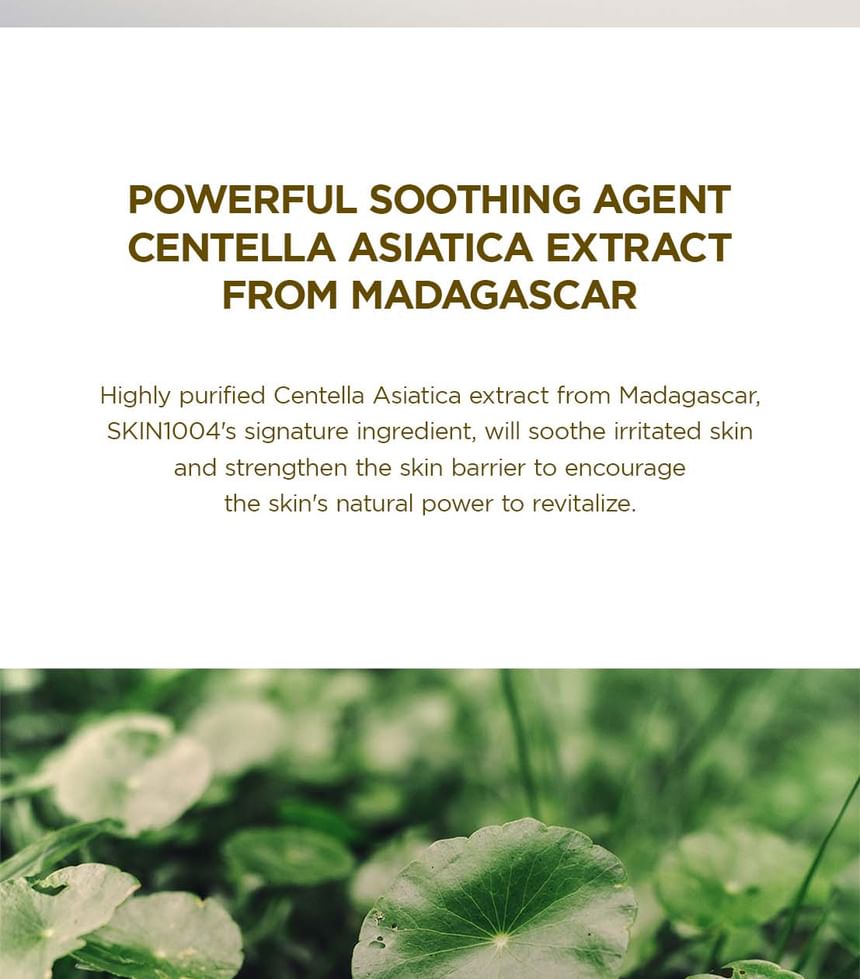Madagascar Centella Cream Mini