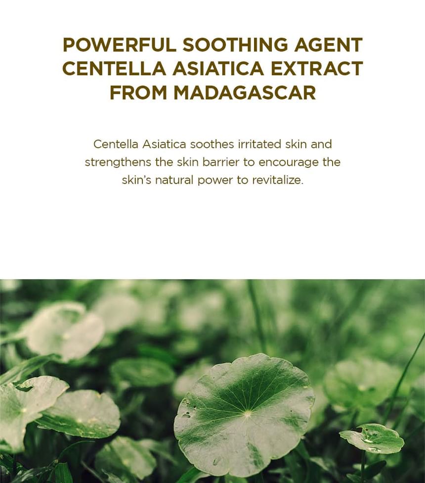 Madagascar Centella Ampoule Foam 2pcs Bundle Set