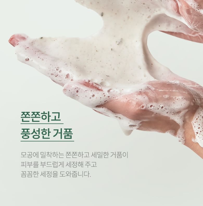 Heartleaf Quercetinol Pore Deep Cleansing Foam Mini