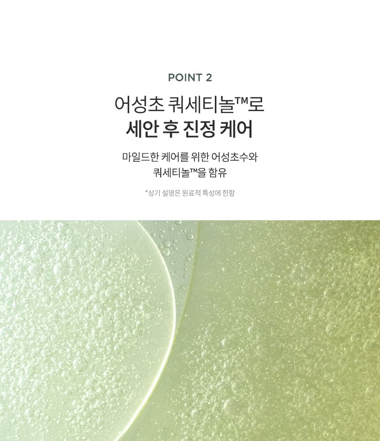 Heartleaf Quercetinol Pore Deep Cleansing Foam Mini