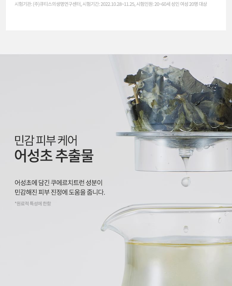 Heartleaf Succinic Moisture Cleansing Foam Mini