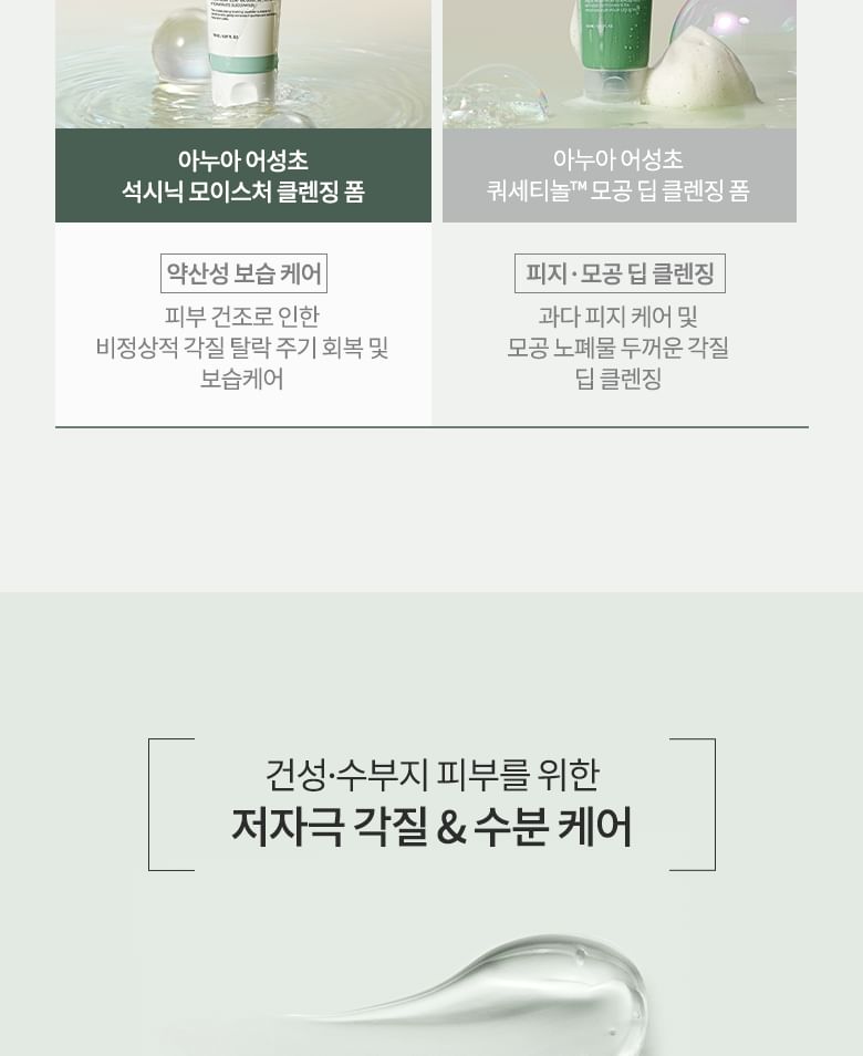 Heartleaf Succinic Moisture Cleansing Foam