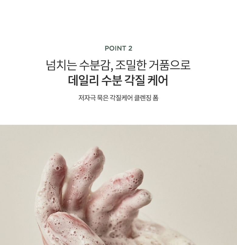Heartleaf Succinic Moisture Cleansing Foam