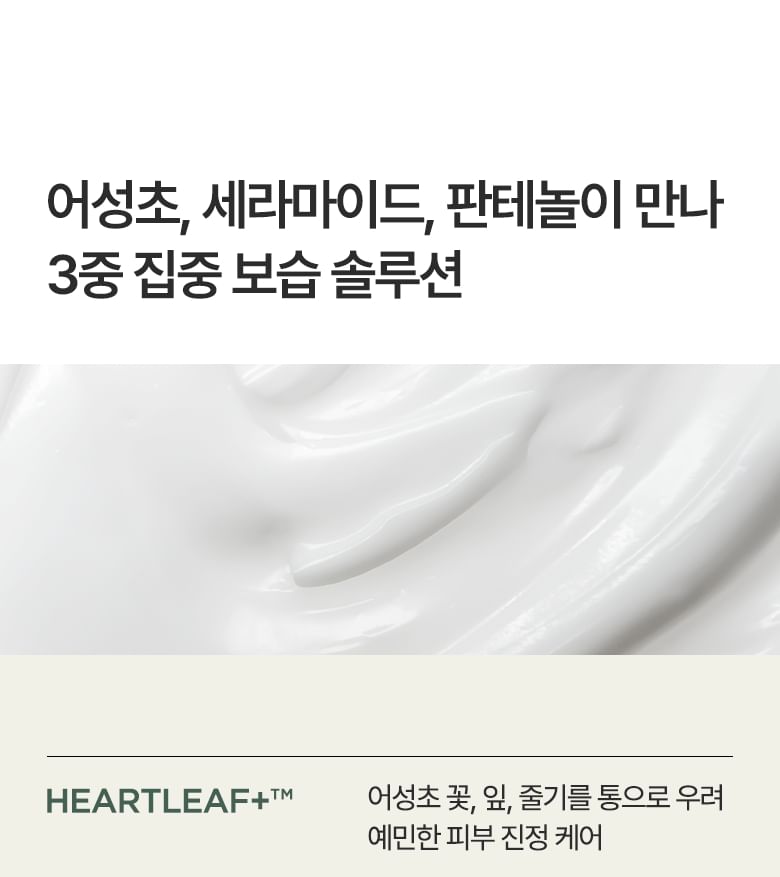 Heartleaf Cream Mask Night Solution Mask Set