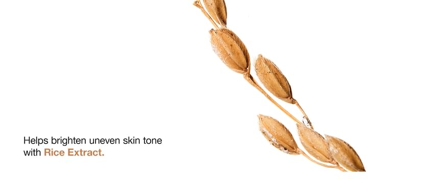 7 Rice Ceramide Hydrating Barrier Serum