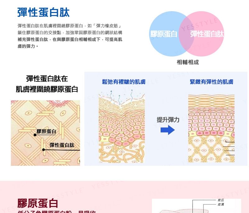 Hyaluron & Collagen + Ubiquinol Q10 Powder Can Type 2pcs Bundle Set