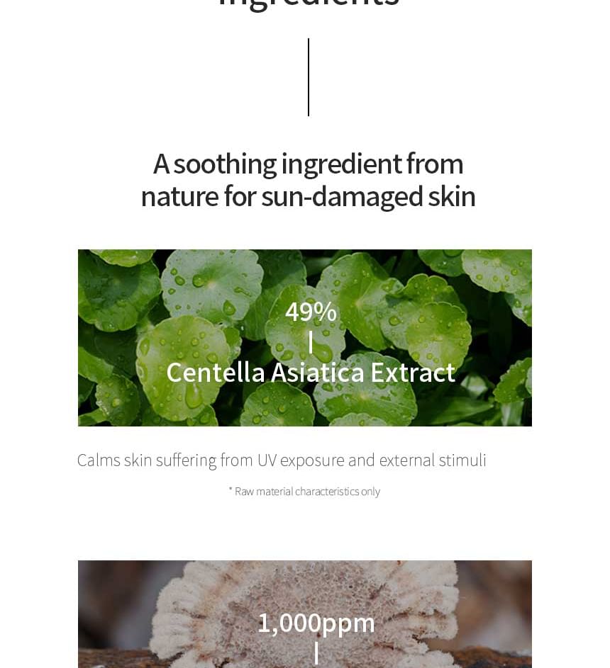 Centella Calming Daily Sunscreen