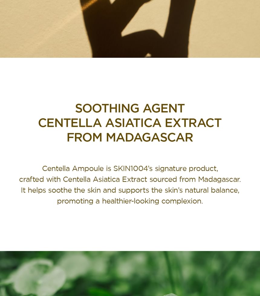 Madagascar Centella Asiatica 100 Ampoule