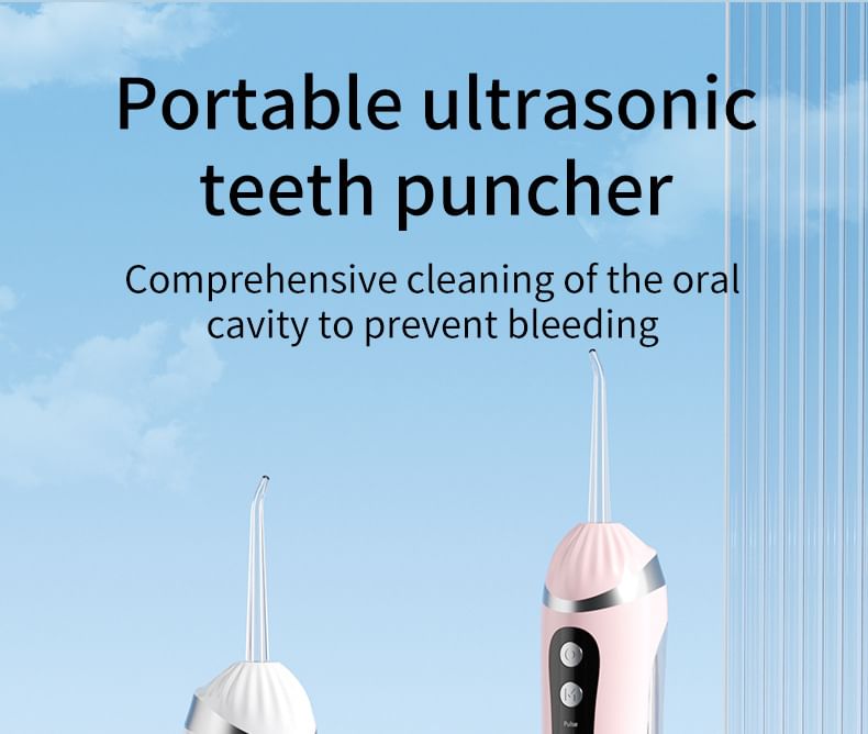 USB Rechargeable Water Flosser with Interchangeable Toothbrush Head