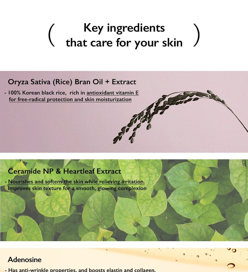 Black Rice Moisture Airyfit Sunscreen
