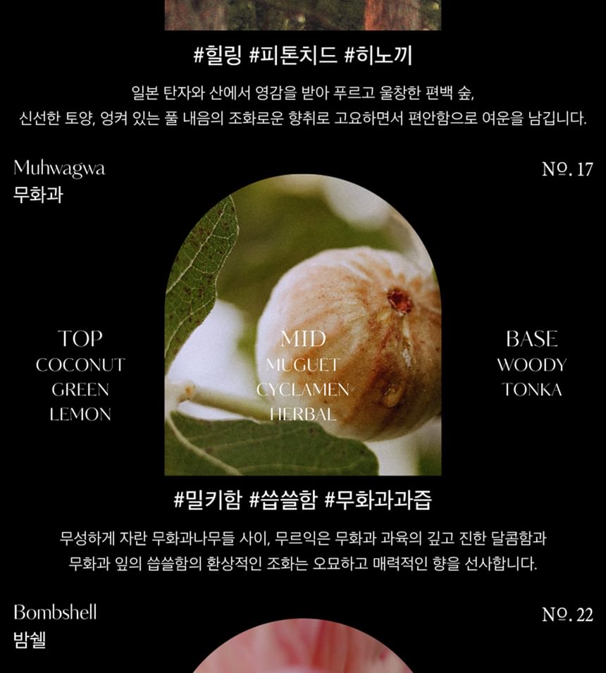 Perfumed Mango Seed Butter Hand Cream - 13 Types