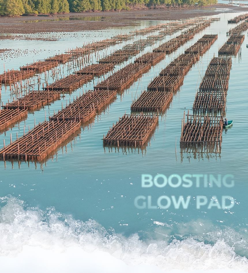 Gim PDRN Boosting Glow Pad