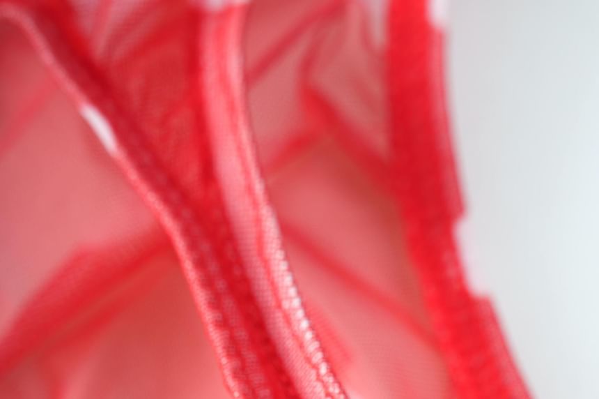 Dotted Sheer Tanga Briefs
