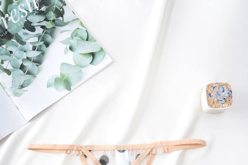 Dotted Sheer Tanga Briefs