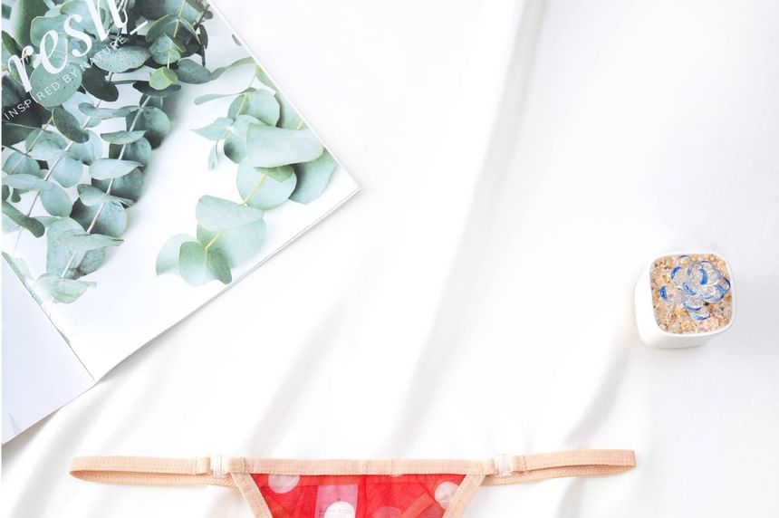Dotted Sheer Tanga Briefs