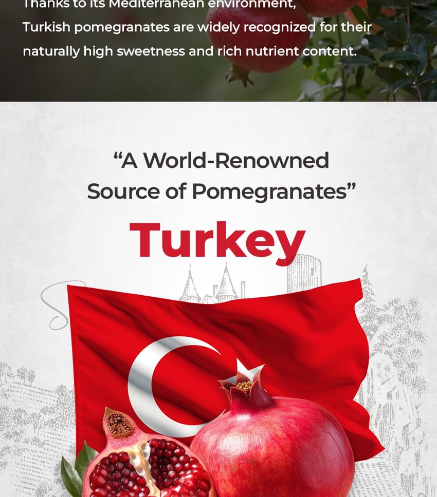 Pomegranate Ultra Low Molecular Collagen Stick Bundle Set