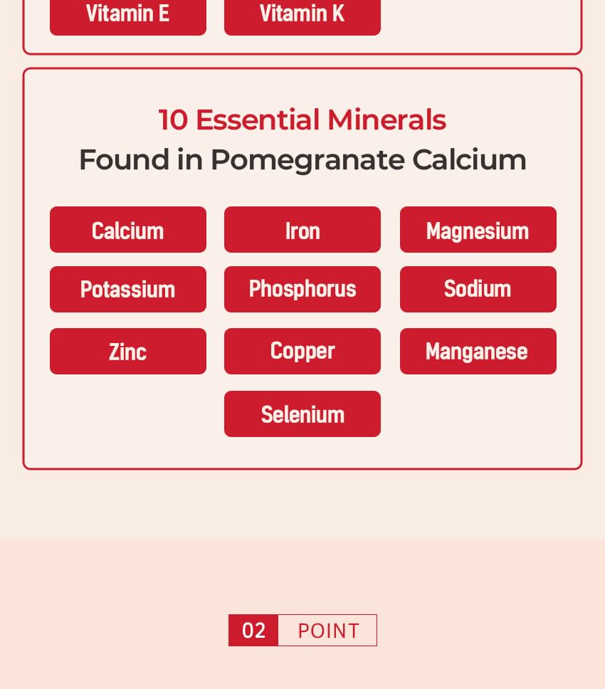 Pomegranate Ultra Low Molecular Collagen Stick Bundle Set