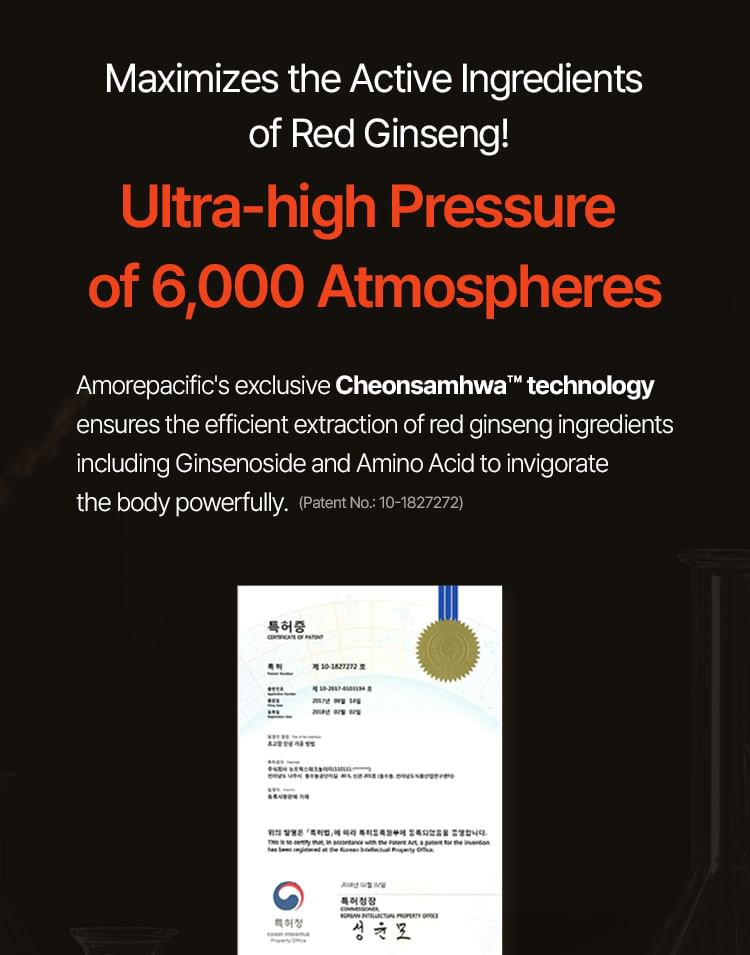 Ginseng Berry Ampoule 2pcs Bundle Set
