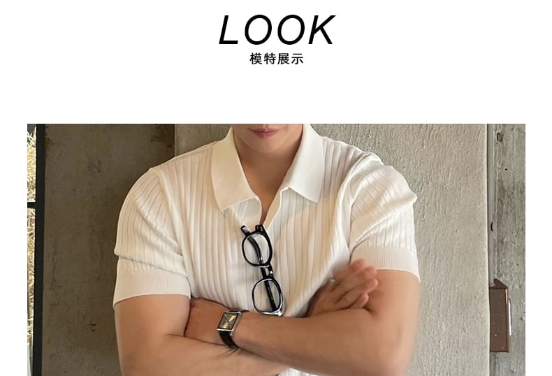 Short-Sleeve Plain Knit Ribbed Polo Shirt