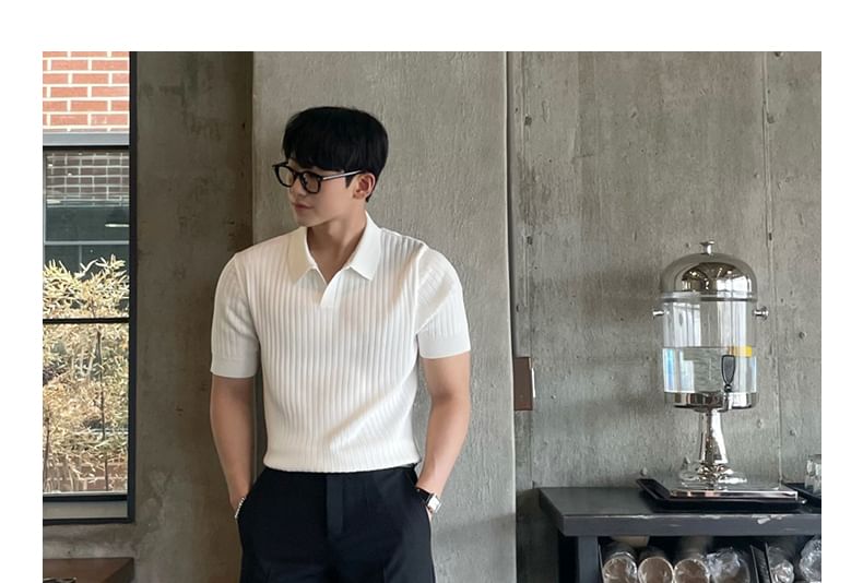 Short-Sleeve Plain Knit Ribbed Polo Shirt