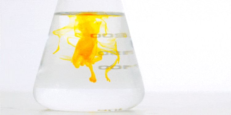 Lyuh Esther Curcumin Direct