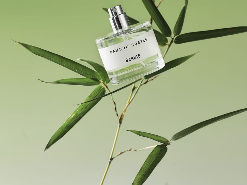 Dive Into Verde Parfume - 3 Scents