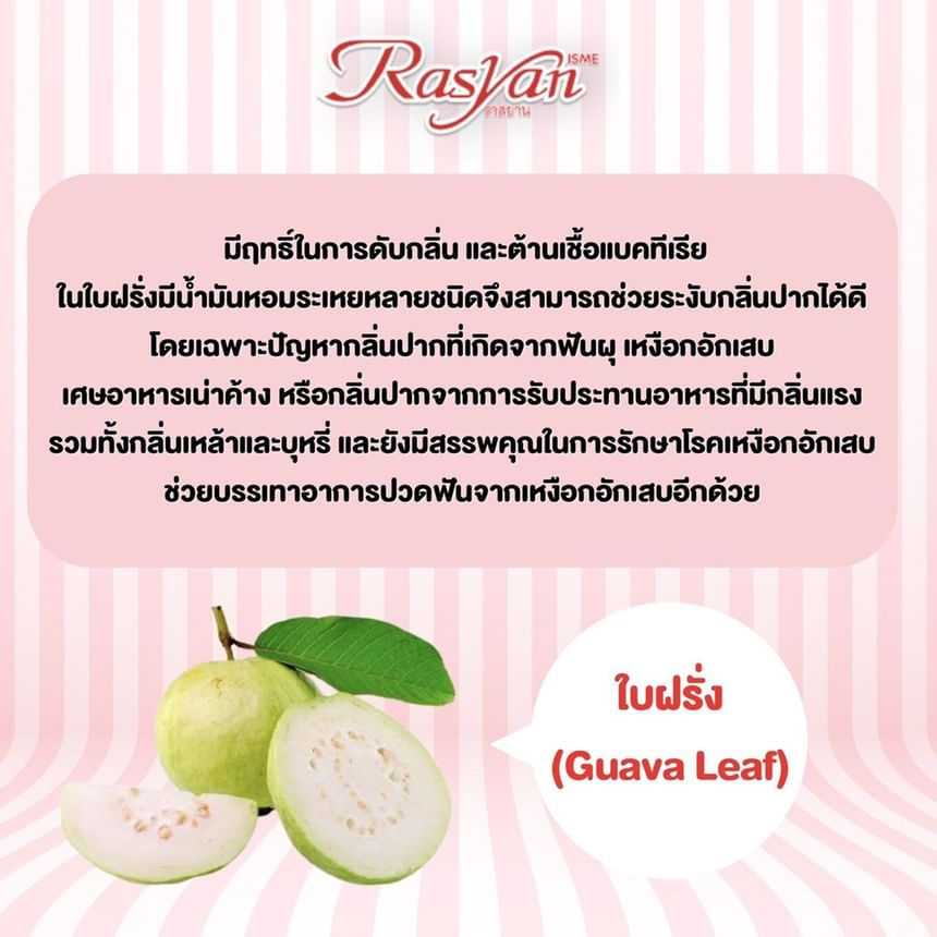 Extra White Herbal Clove Toothpaste With Aloe Vera & Guava Leaf
