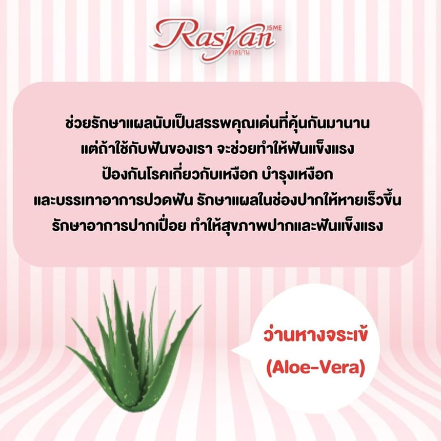 Extra White Herbal Clove Toothpaste With Aloe Vera & Guava Leaf